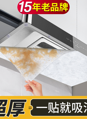 雷光家用抽油烟机过滤网吸油纸棉防油罩厨房灶台挡防油贴纸耐高温