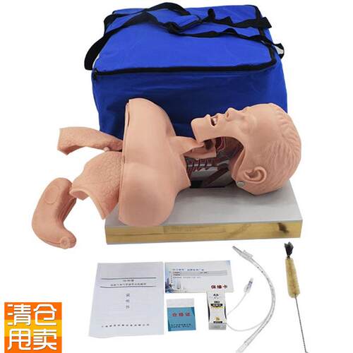 成人气管插管模型人体气道B插管模具带解剖结构教学模型