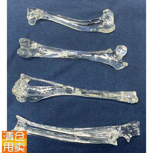 水晶骨狗股骨狗胫骨m狗腓骨狗尺骨桡骨狗肱骨手术练习演示仿真骨