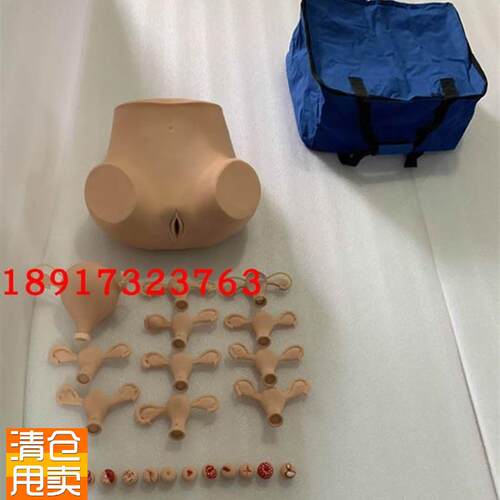 高级妇科检查模型妇科双合诊三合诊检查模型产Z科检查教具