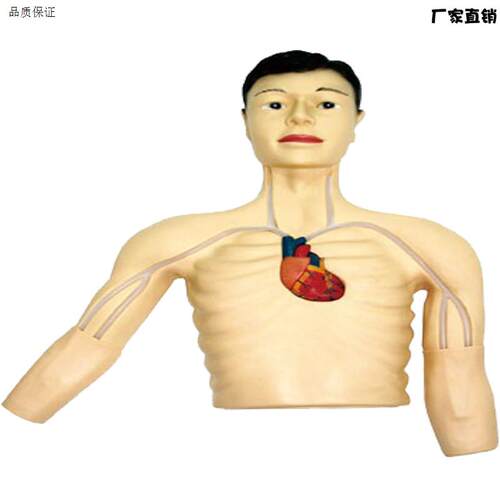 PICC介入模型佳悦q医学模型JY/L69E