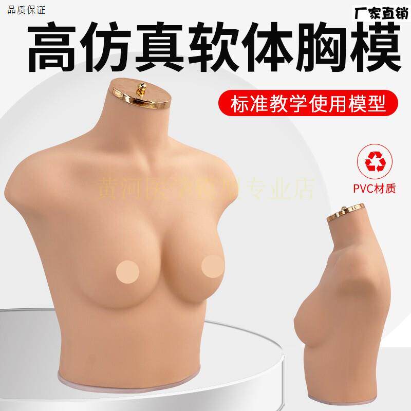75B/C罩杯内衣模特女胸模软体模特道具.仿真人模特内衣展示模特