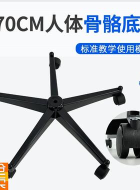 170cm人体大骨骼模型配套的塑料底I座黑色塑料底座及支架铁棍