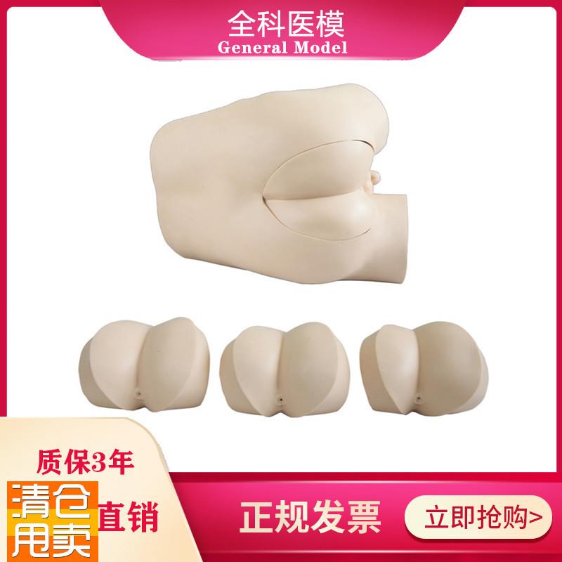 高级直肠指诊检查模型前列u腺触诊模型肛门外用检查诊断诊治模型
