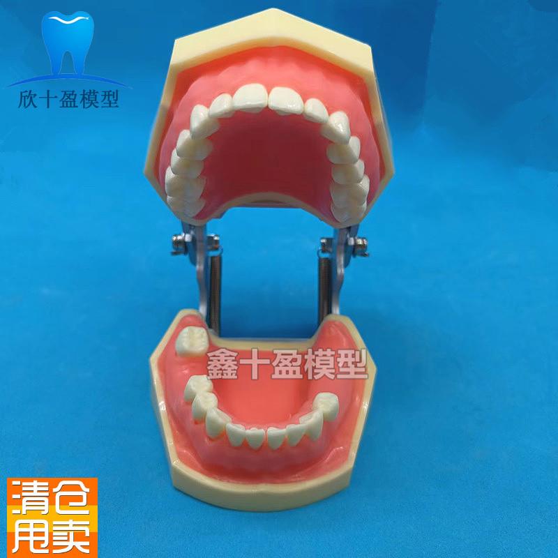 牙科口腔种植上颌窦加下颌窦v种植模型练习切开种植缝合模型2030
