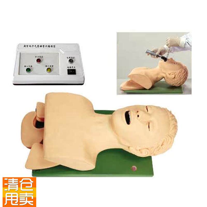 电子人体气管插管训x练模型(带牙齿受压报警)