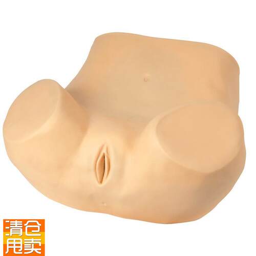 高级妇科训练模型rGD/F30P/妇科检查模型