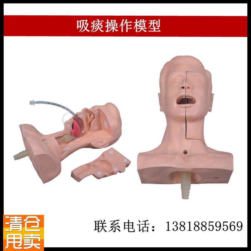 高级吸痰练习模型气管s插入吸引练习头部局部模型厂家直销