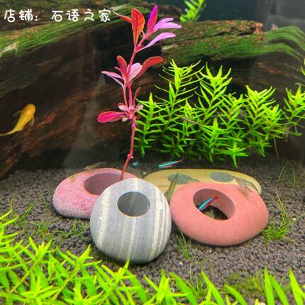 水族鱼缸水草固定造景石头定植环鹅卵石打孔开孔装饰躲避洞底座