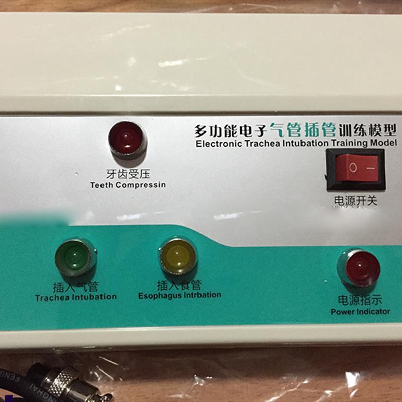 高级电子人体气管插管训练模型(D带牙齿受压报警)插管急救模型
