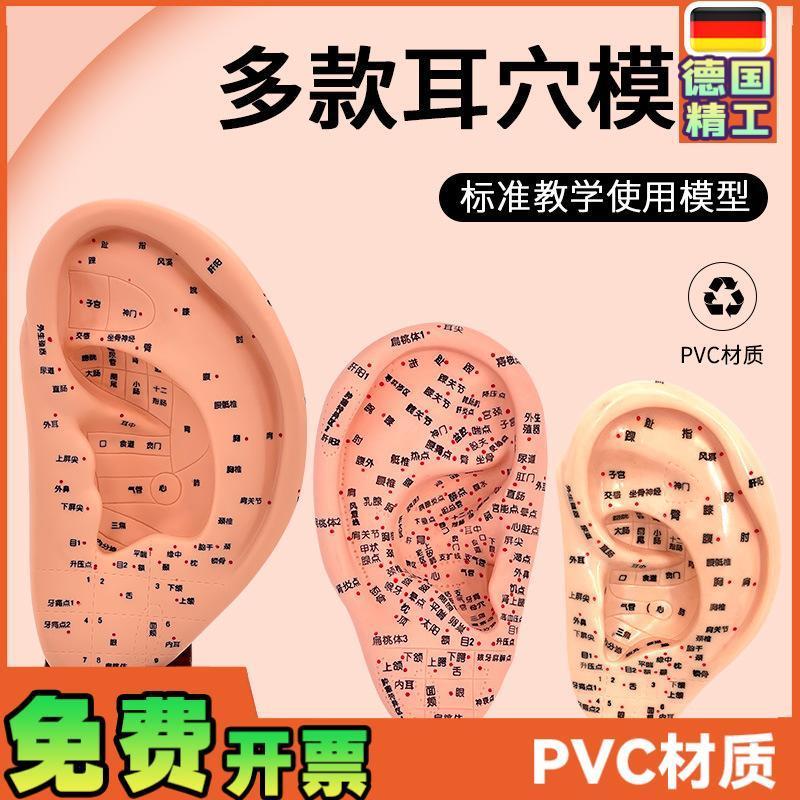 超清晰经络通人体针灸穴位模型针灸耳针穴N模型耳模16cm耳朵