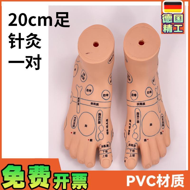 超清晰 19CM足部反射区模型 人体穴位教K学脚模 针灸推拿按摩穴位