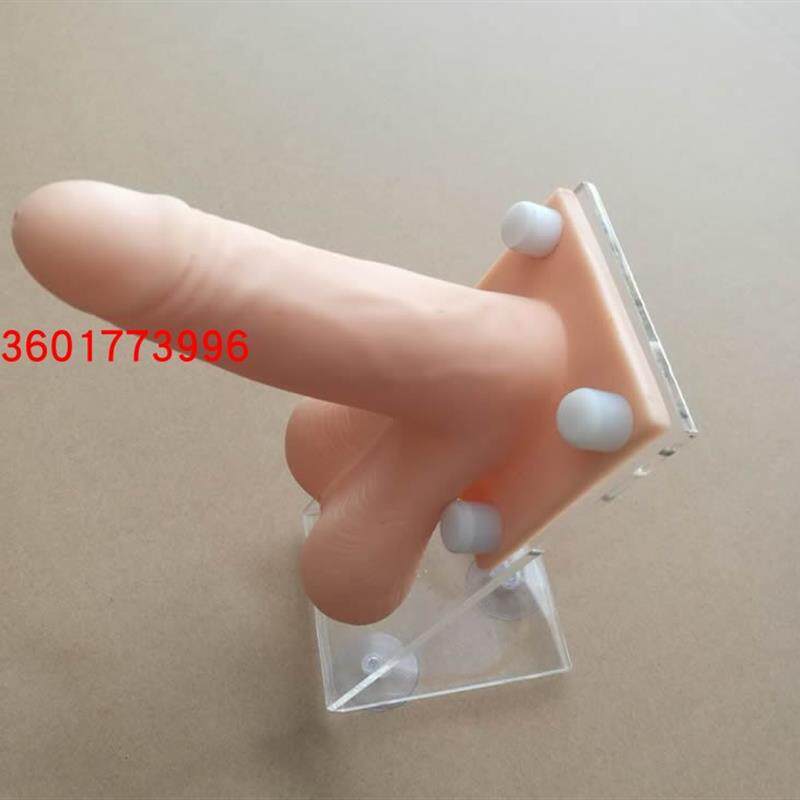 高级计划生育教育模型计生办宣传H示教模型男性避孕穿戴练习