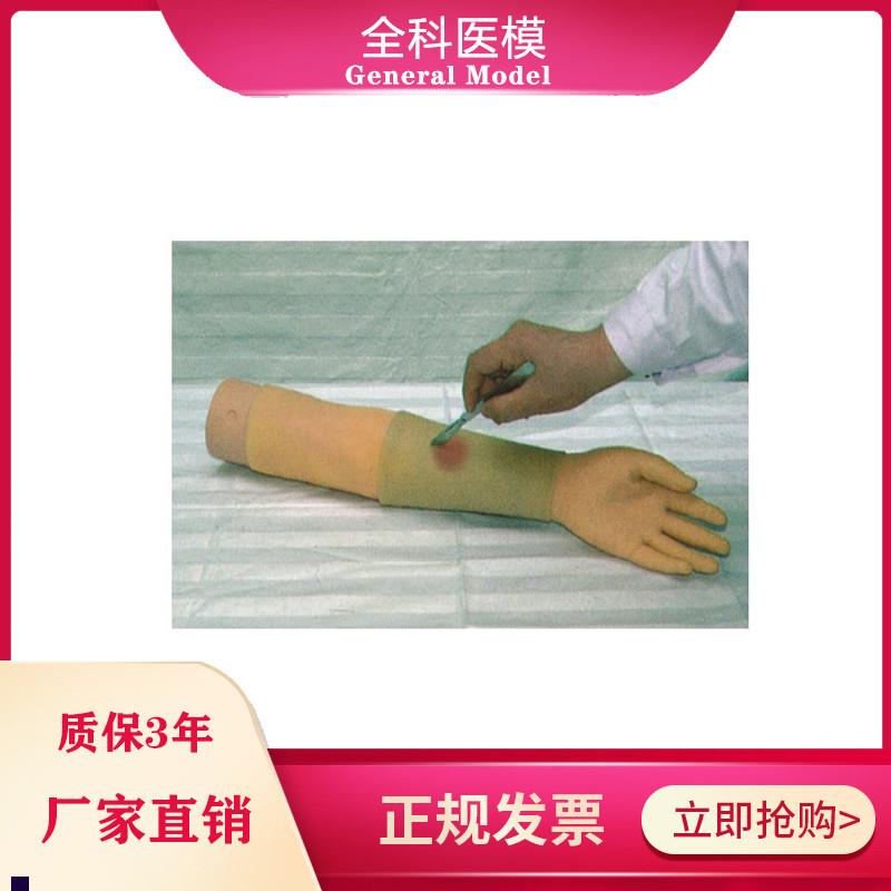 上肢脓肿切开仿真模型
