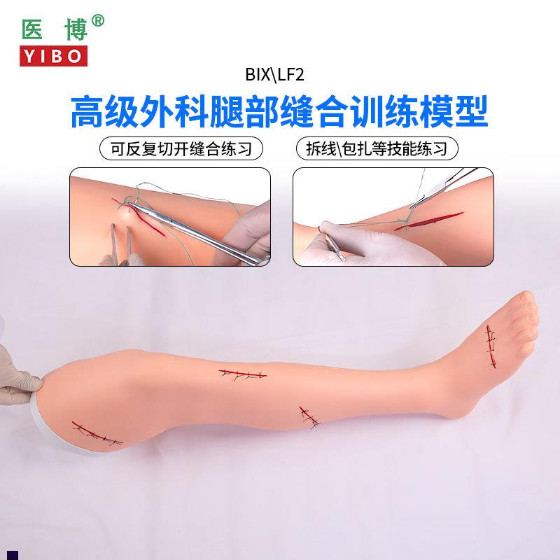 医博BIX-LF2高级外科手臂腿部缝合训F练模型切开缝合包扎止血训练