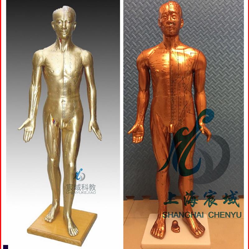 超清晰经络通针灸铜人人体穴L位模型中医针灸人模