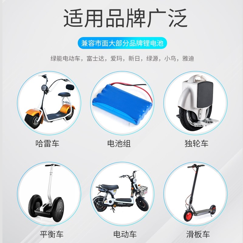 锂电池充电器36V42V48V54.6V60V72V滑板车平衡车哈雷电动车充电器