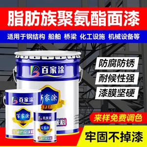 脂肪族聚氨酯面漆金属漆桥梁钢结构机械设备防腐防锈漆树脂漆油漆