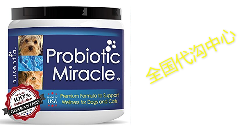 probiotic miracle dog probiotics for dogs (up to 360 servin