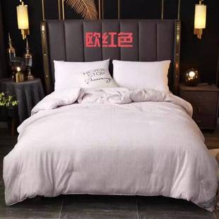 轻奢纯色花边春秋被子保暖冬被亲肤夏被双人单人柔软宿舍四季 被芯