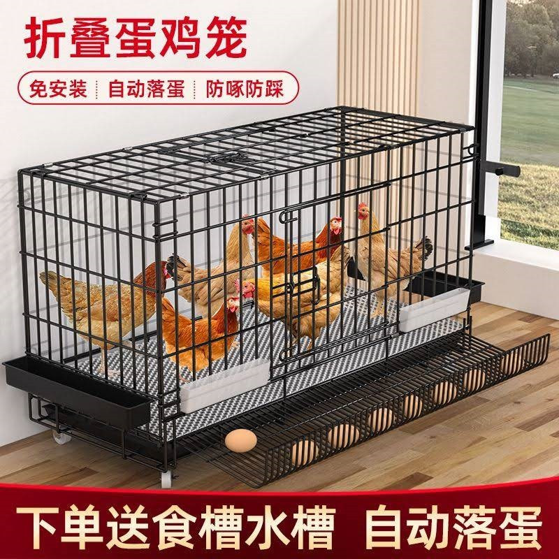 鸡笼子家用室外大号小自