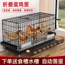 鸡笼子家用室外大号小鸡笼自动清粪母鸡下蛋家用室内养鸡鸭窝防雨