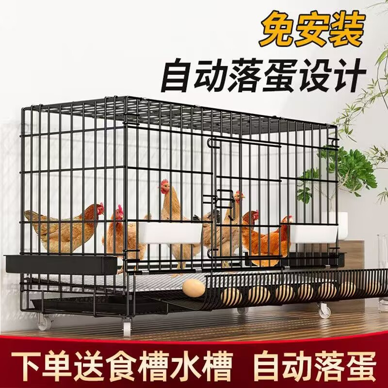 家用鸡笼子大号养鸡笼室内滚蛋鸡笼自动清粪出蛋加密鸡笼鸭笼鹅笼