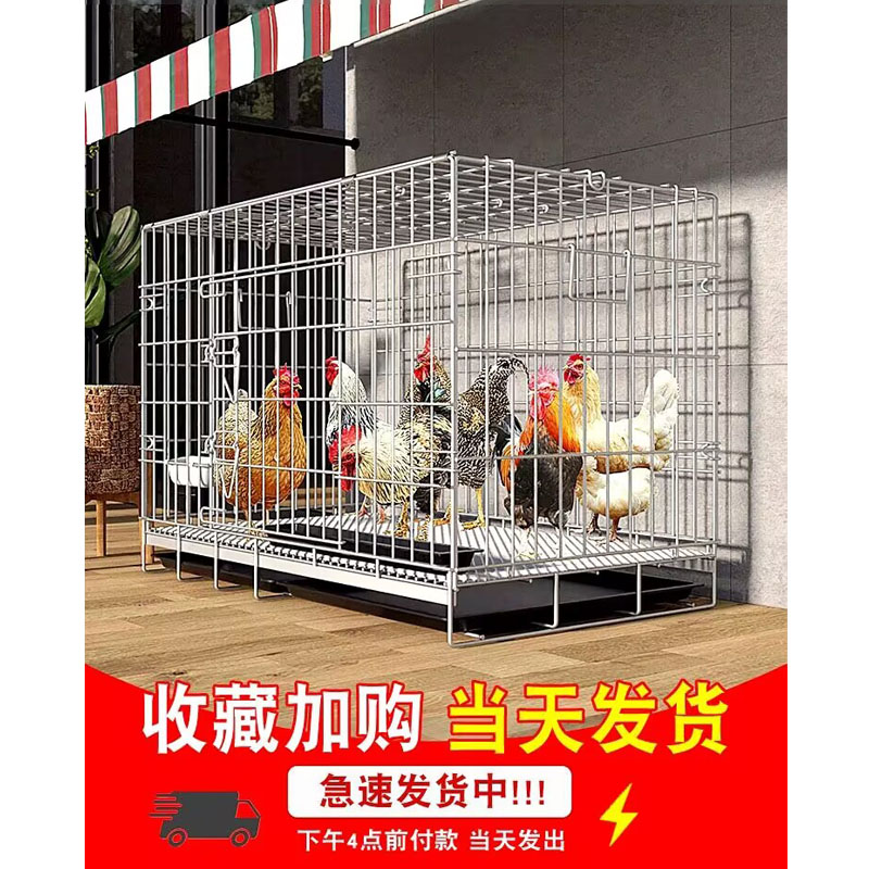 鸡笼子家用室外大号农村专用养鸡笼自动清粪鸽子养殖笼加密铁丝网
