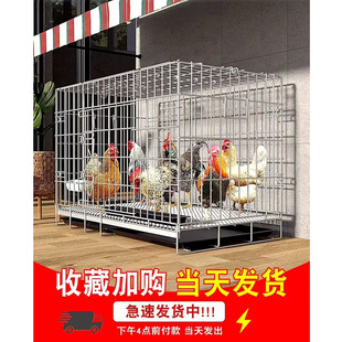 鸡笼子家用室外大号农村专用养鸡笼自动清粪鸽子养殖笼加密铁丝网