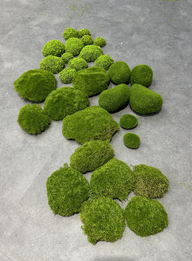 苔藓植物仿真苔藓块植毛石头大小搭配青苔石青苔草坪植绒摆件软装