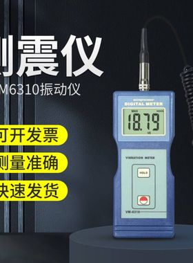 兰泰测震仪振动分析仪测量仪数字测振仪VM6310振动仪