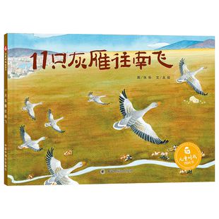 11只灰雁往南飞精装孩子探索世界热爱祖国的诗意科学绘本许多民族的风土人情3-6岁幼儿中国中福会出版社正版