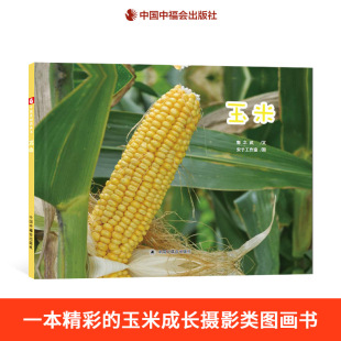 成长适合3岁4岁5岁6岁幼儿园儿童亲子阅读中福会正版 摄影类图画书记录玉米 童书 绘本图画书中国原创图画书是一本精彩 玉米精装