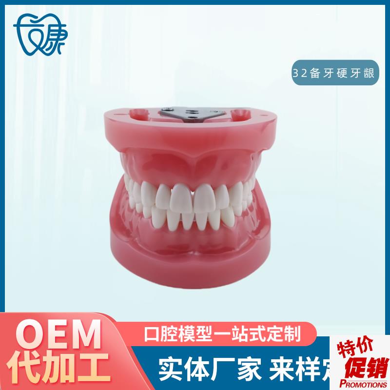 牙科全口可拆卸备牙模r型软牙龈模型练习牙齿模型送螺丝螺刀