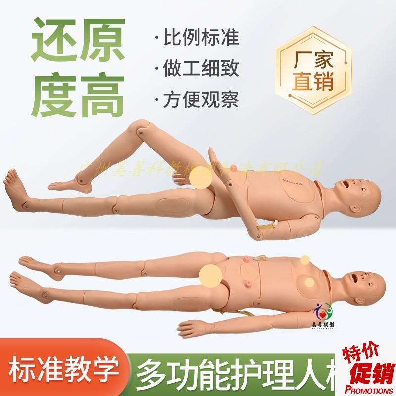 高级男女性护理人体模型灌肠z插尿管医学导尿技能操作护理模特