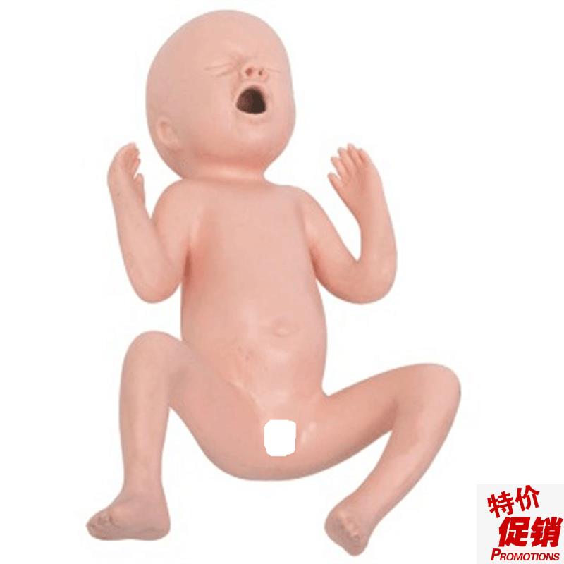 高级24周早产儿模型高级30周早产儿模Q型早产儿护理模型