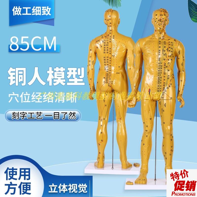 85cmc超清晰经络通针灸铜人体穴位模型中医针灸人体模型十二经络