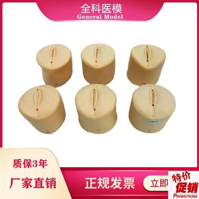 产前宫颈口变化i模型宫颈扩张教具分娩产道医学用妇科教学模型模