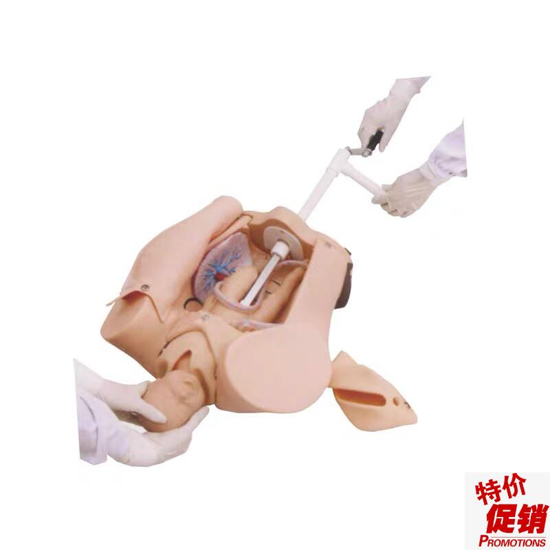 上海医模YfM/F53高级手摇分娩机制示教模型