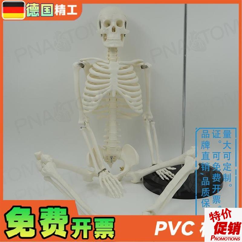 德国】85cmj人体全身骨骼模型可活动可拆卸小白瑜伽正骨疼痛科骨