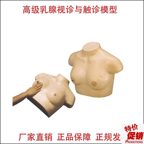 高级乳腺视诊与触诊模p型妇科模型乳腺检查催乳训练乳房检查教具