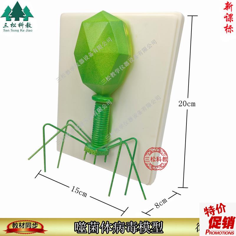 噬菌体病毒模型病毒结构模F型生物教学模型教学模型