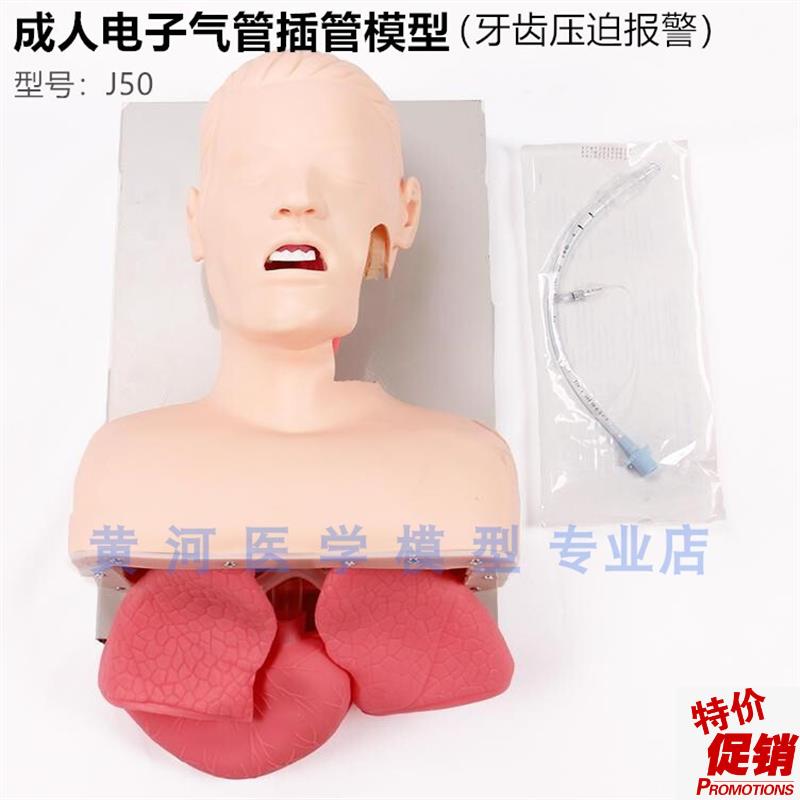 J50成人电子气管n插管教学模型人体急救训练模型(牙齿压迫报警)