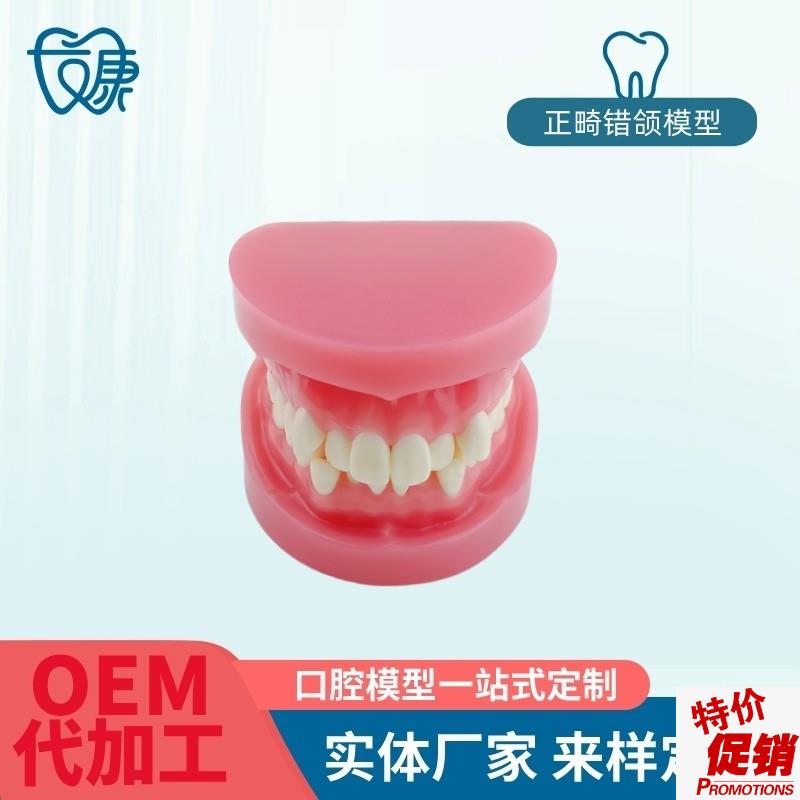牙科牙齿材料模型牙模口腔正畸训练F模型牙模型标准练习正畸模型