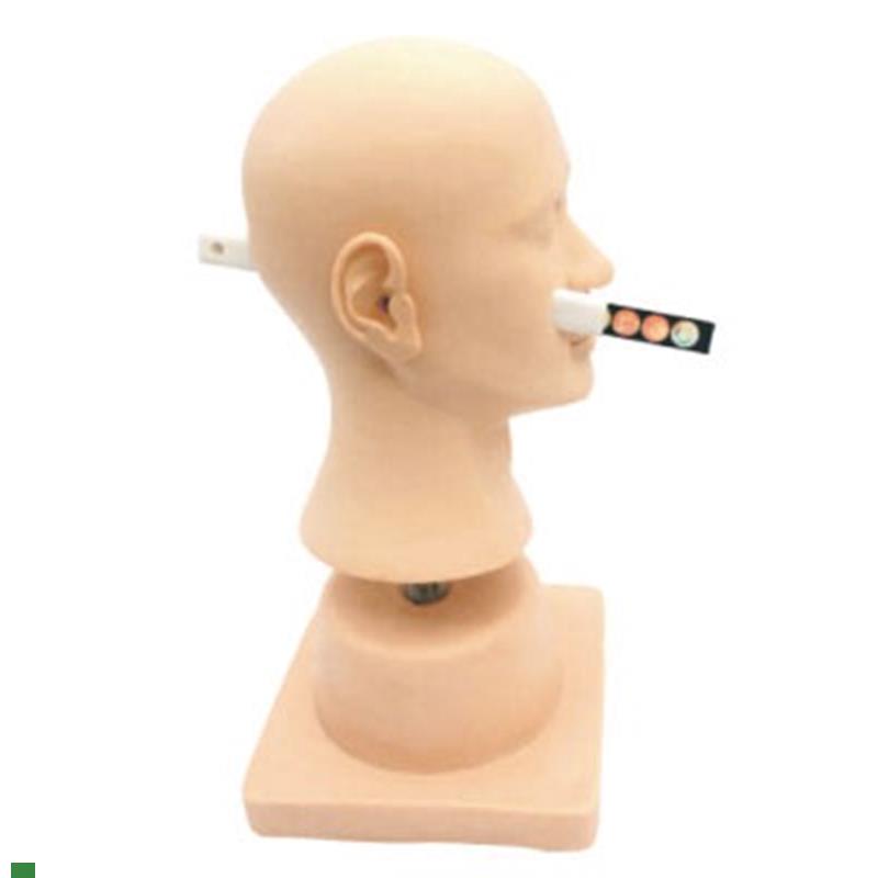 耳道诊断耳部病l变耳部检查耳部清洗耳部训练模型