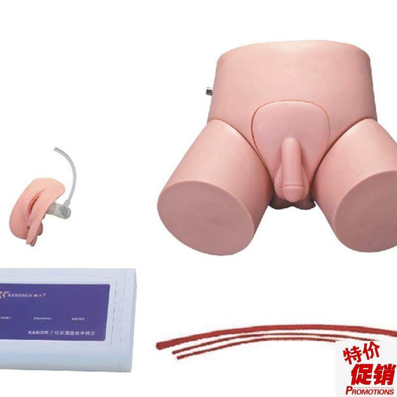 电子导尿灌肠教学实习模型高级B男女护理导尿模型性别互换模具