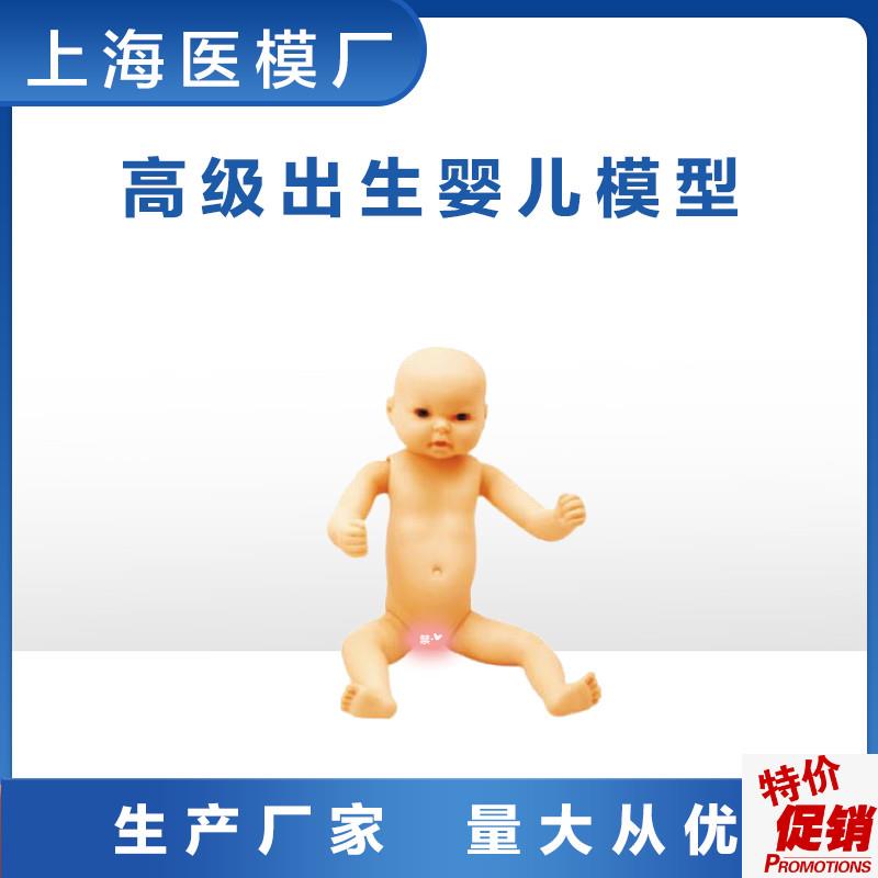 家政培训教学模型全身出生婴儿模A型(男婴/女婴任选柔软型)FT3
