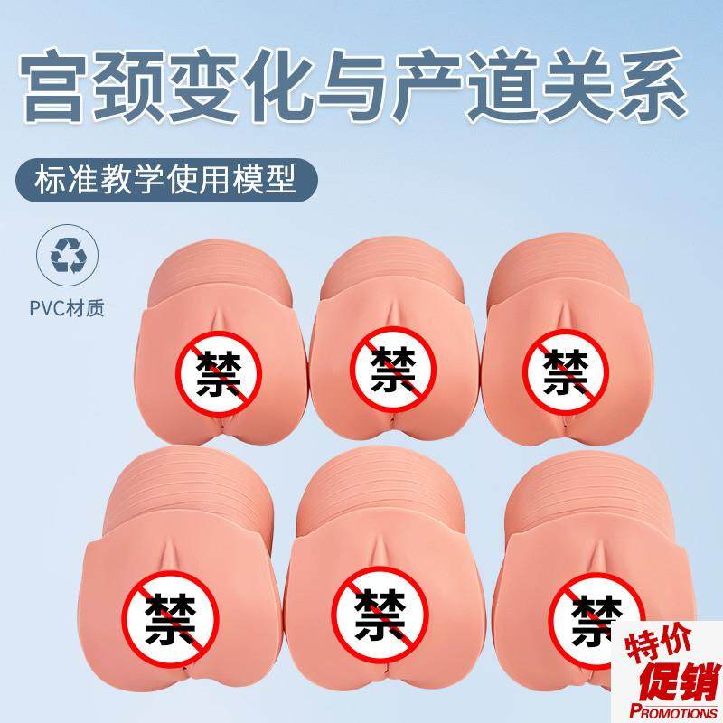 产前宫颈变化与产道关系模型z妇科检查计划生育医学示教模型