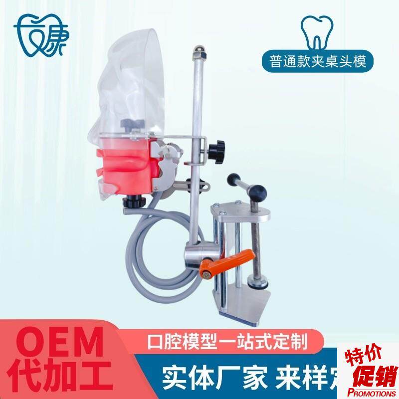 牙科简易仿真头模树脂可拆卸牙齿C备牙正畸修复仿头模口腔教学模