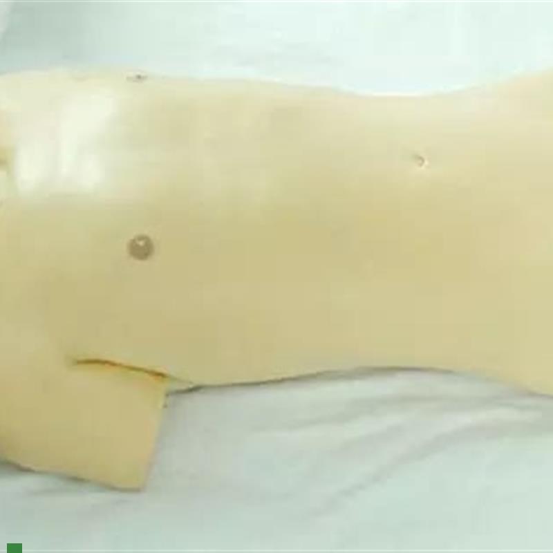 术前模型术前无l菌操作训练模型手术无菌操作训练模型人
